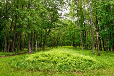 Büst Mounds Ulusal Anıtı