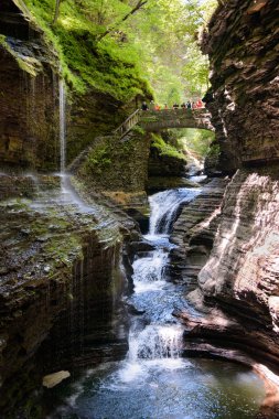 Watkins glen Devlet Parkı