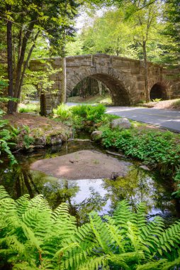 Acadia Milli Parkı, Maine