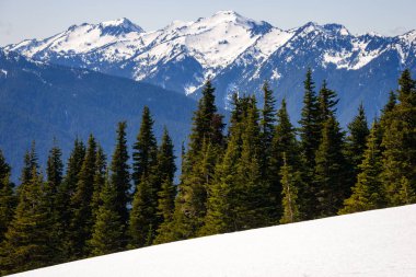 Kasırga ridge olimpik Milli Parkı