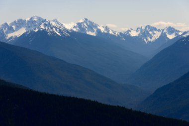 Kasırga ridge olimpik Milli Parkı