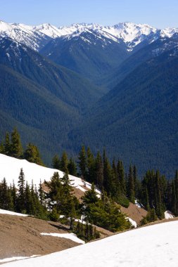 Kasırga ridge olimpik Milli Parkı