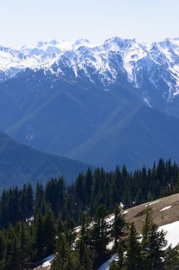 Kasırga ridge olimpik Milli Parkı