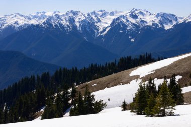 Kasırga ridge olimpik Milli Parkı