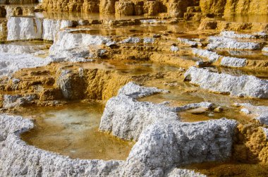 Yellowstone Ulusal Parkı, Wyoming