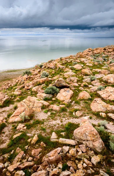 Antelope Adası Devlet Parkı — Stok fotoğraf