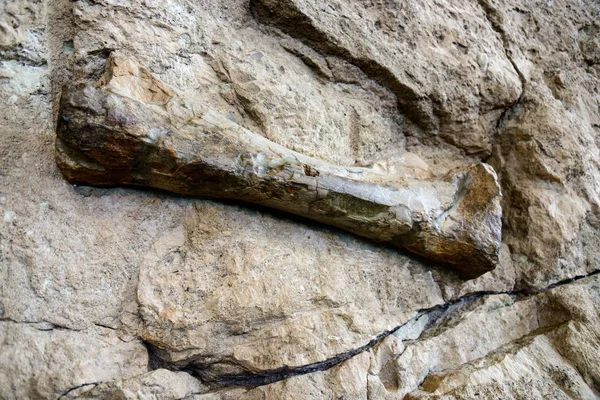 Dinozor Ulusal Anıtı Colorado — Stok fotoğraf