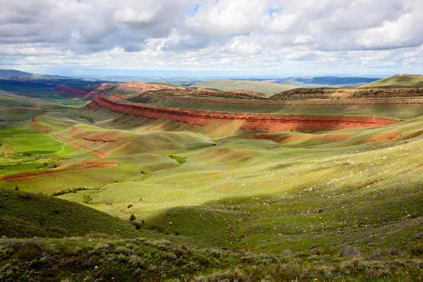 Red Canyon National Forest — Stockfoto