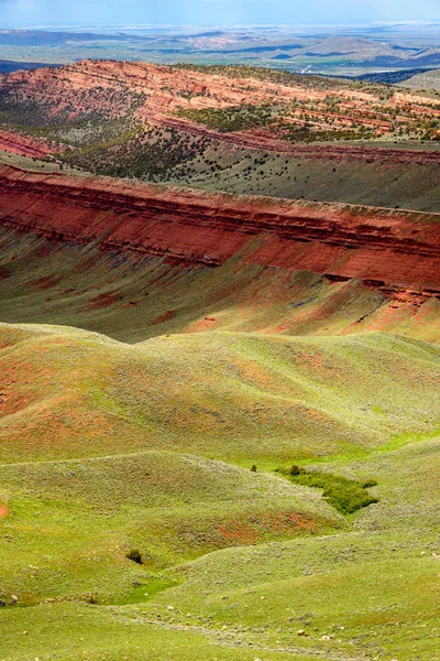 Red Canyon National Forest — Zdjęcie stockowe