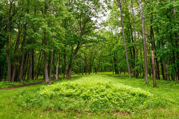 Опудало Кургани National Monument — стокове фото