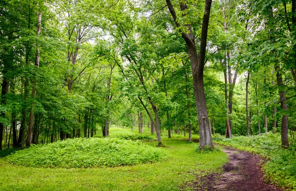 Effigy Mounds Monumento Nacional — Fotografia de Stock