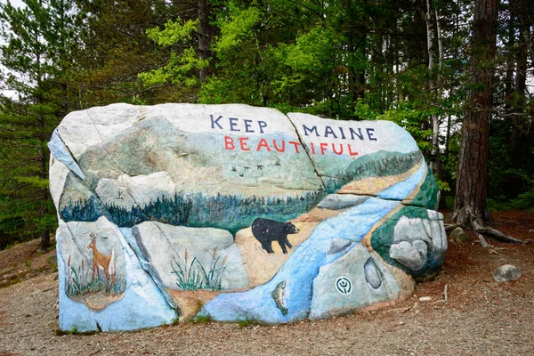 Bois Maine Nord Mont Katahdin — Photo