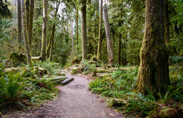 Croissant Lac Parc National Olympique — Photo