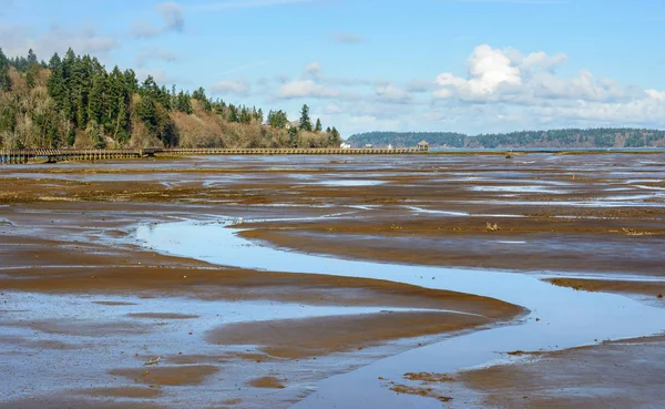 Refúgio Nisqually National Wildlife — Fotografia de Stock