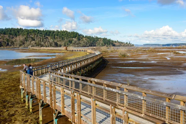 Refúgio Nisqually National Wildlife — Fotografia de Stock