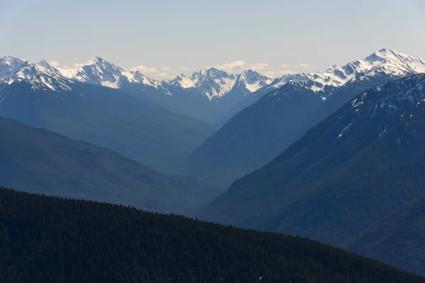 Orkaan Ridge Olympisch Nationaal Park — Stockfoto