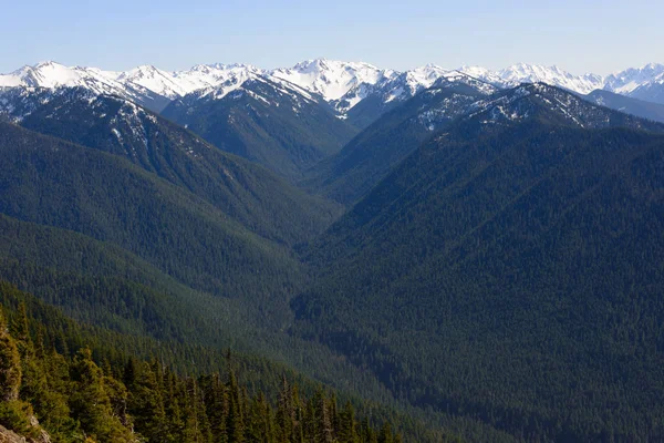 Hurricane Ridge Parque Nacional Olímpico — Fotografia de Stock