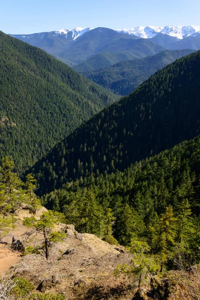 Hurricane Ridge Parque Nacional Olímpico — Fotografia de Stock