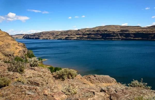 Ginkgo Petrified Forest State Park — Stock Photo, Image