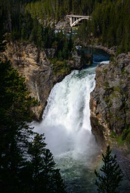 Yellowstone Ulusal Parkı, Wyoming