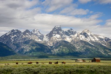 Grand Teton Ulusal Parkı