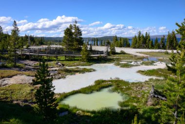 Yellowstone Ulusal Parkı, Wyoming
