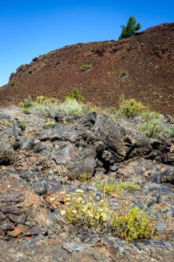 Kraterler ay ulusal anıt ve koru