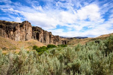 Dilenmek Creek State doğal alan