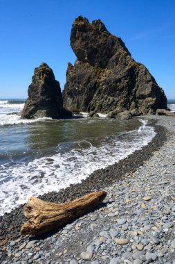 Ruby Beach olimpik Milli Parkı içinde
