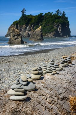 Ruby Beach olimpik Milli Parkı içinde