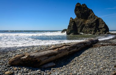 Ruby Beach olimpik Milli Parkı içinde