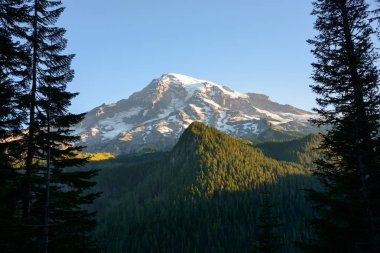 rainier Dağı Milli Parkı