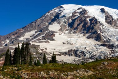 rainier Dağı Milli Parkı