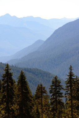 rainier Dağı Milli Parkı