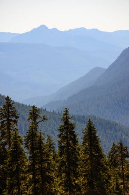 rainier Dağı Milli Parkı