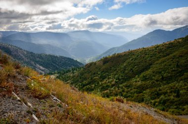 Aziz Helen Dağı, Kuzeybatı Pasifik
