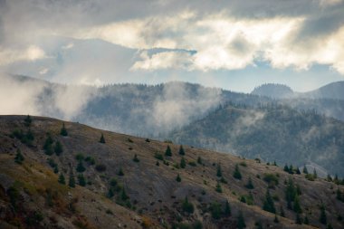 Aziz Helen Dağı, Kuzeybatı Pasifik