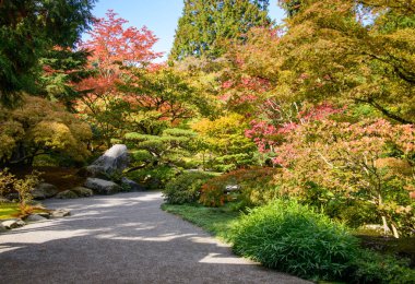  Seattle, Japon bahçe botanik bahçesi