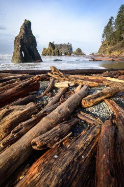 Ruby Beach olimpik Milli Parkı içinde