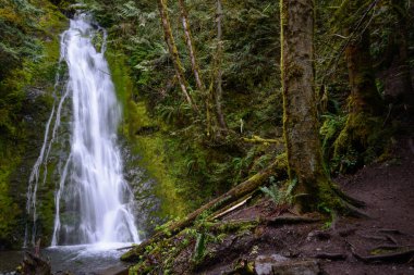 Madison falls olimpik Milli Parkı