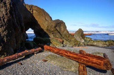 Ruby Beach olimpik Milli Parkı içinde