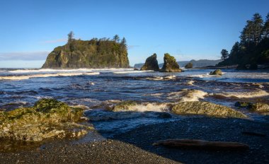 Ruby Beach olimpik Milli Parkı içinde