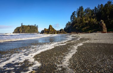 Ruby Beach olimpik Milli Parkı içinde