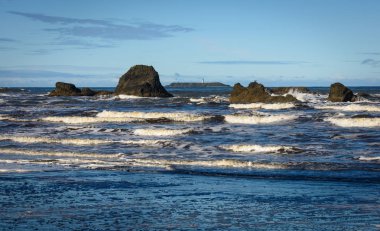 Ruby Beach olimpik Milli Parkı içinde