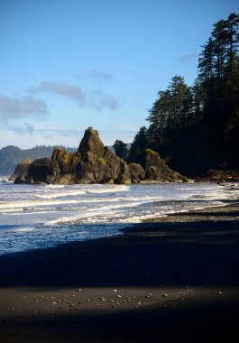 Ruby Beach in Olympic National Park clipart