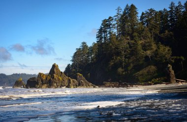 Ruby Beach olimpik Milli Parkı içinde