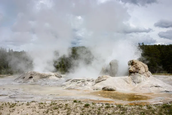 Gulstens Nationalpark Blomstrande — Stockfoto