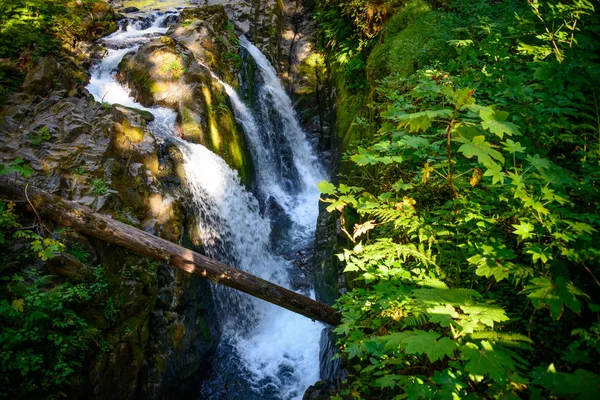 Sol Duc Falls Trail Olympic National Park — Stockfoto