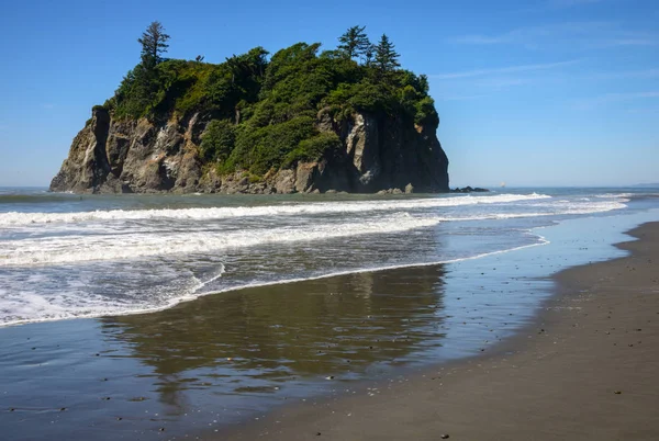 Ruby Beach olimpik Milli Parkı içinde