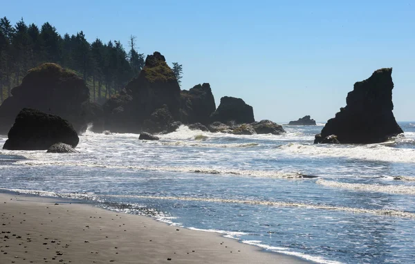 Ruby Beach olimpik Milli Parkı içinde